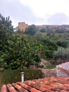 20230717_16462800010