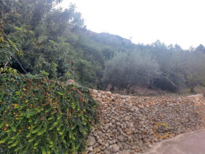 20230717_17113200087