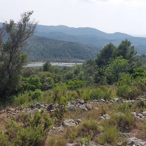 20250618_171314---1000