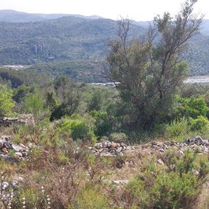 20250618_171406---1000